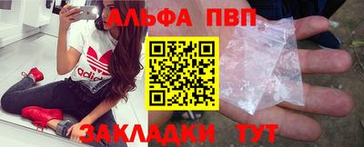 кокс Кингисепп