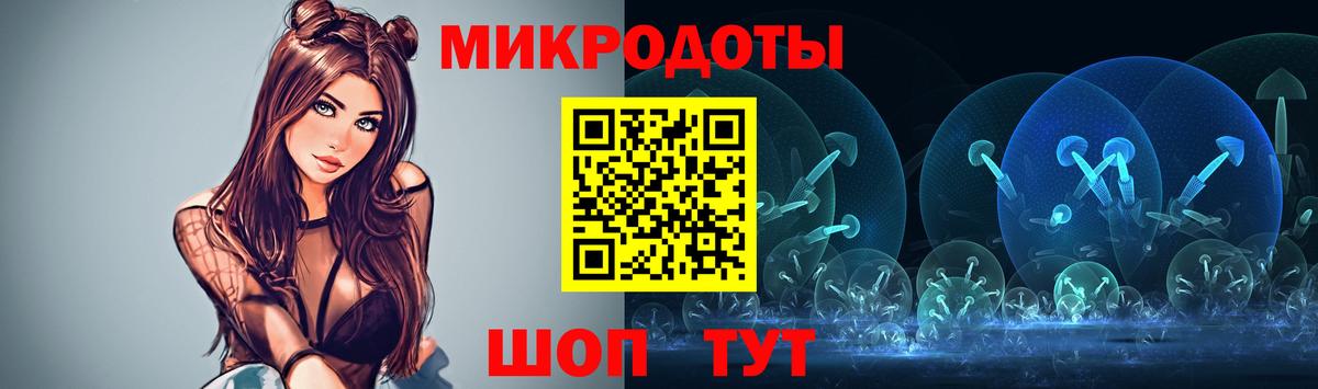 Галлюциногенные грибы Psilocybe Лабинск