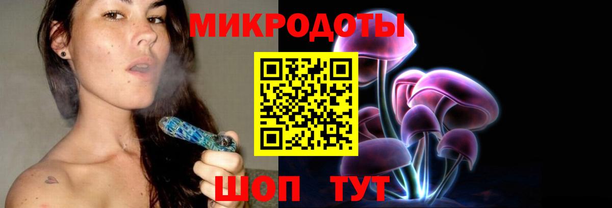 Псилоцибиновые грибы Psilocybe  Вход с VPN  Лабинск 